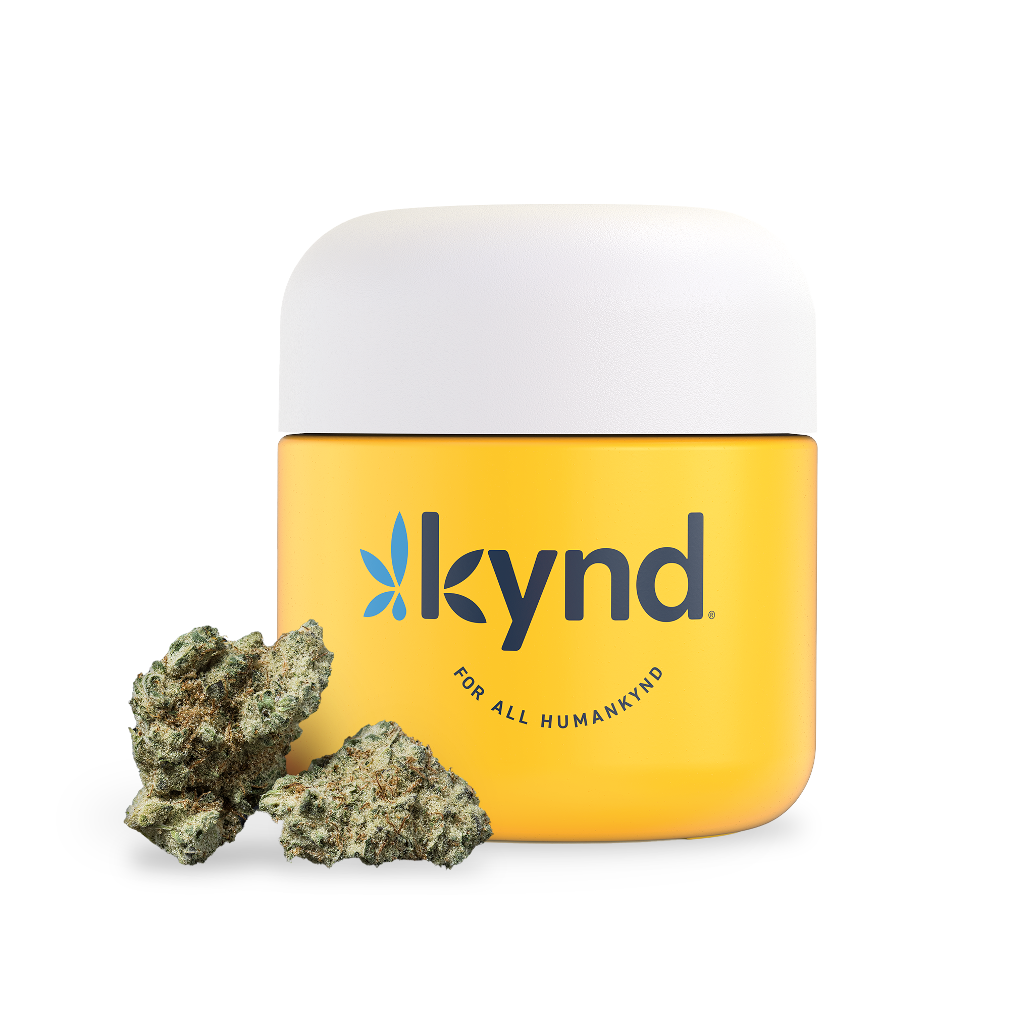 Photograph of product: Kynd First Class Funk #1 (H) Flower 3.5g