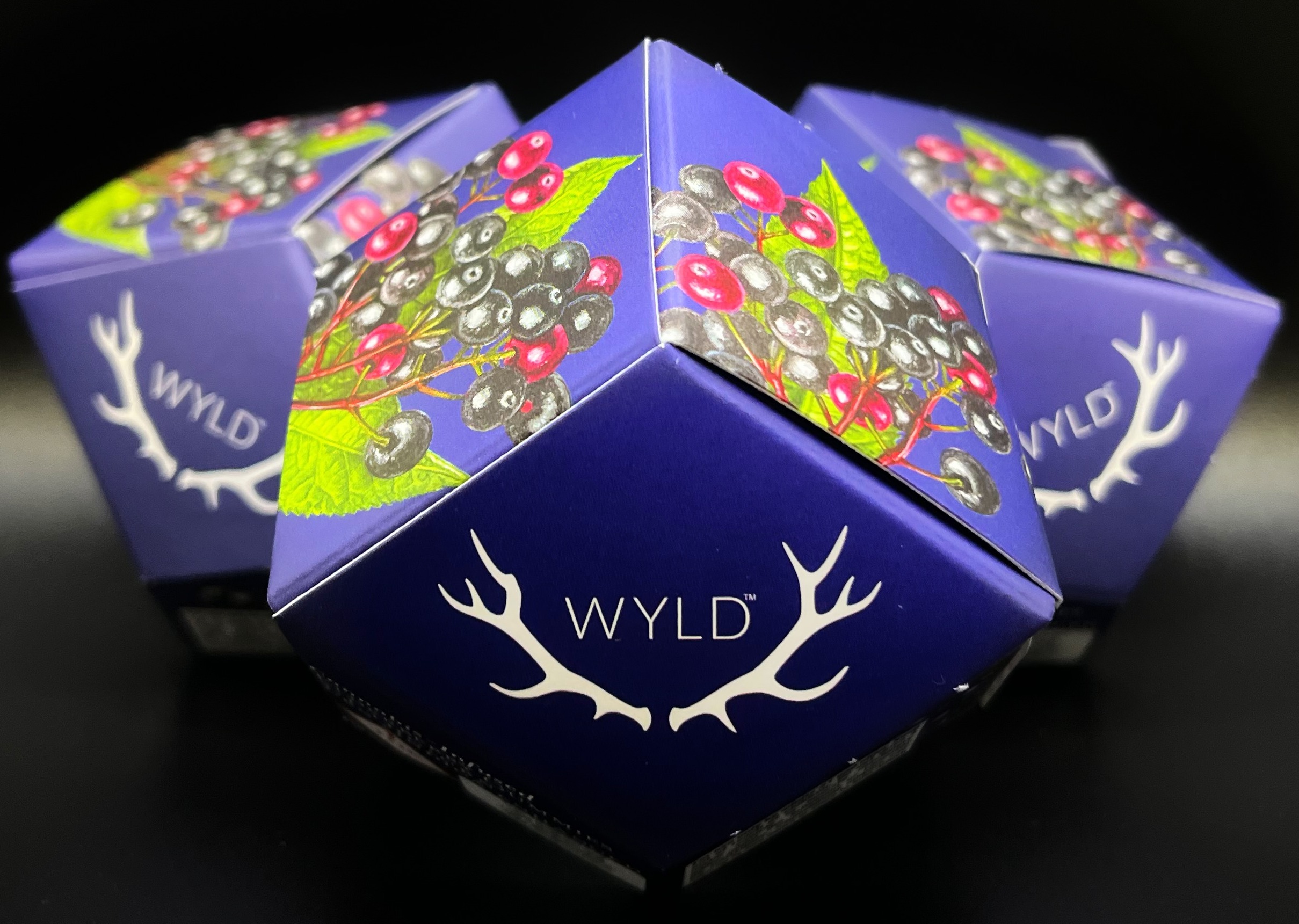 Photograph of product: Wyld - Elderberry - 2:1 - 100mg Gummies