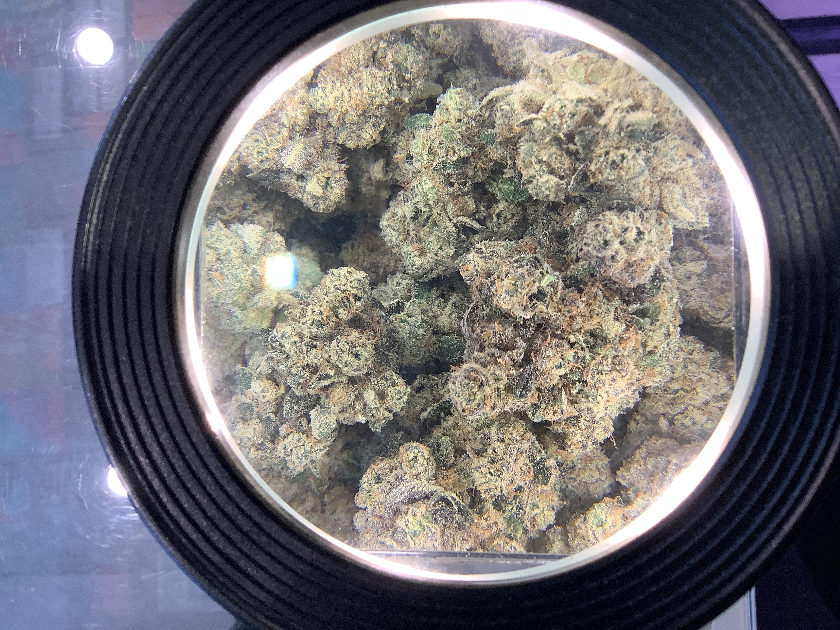 Photograph of product: Meraki Gardens - SWEET THANG - H - 28g