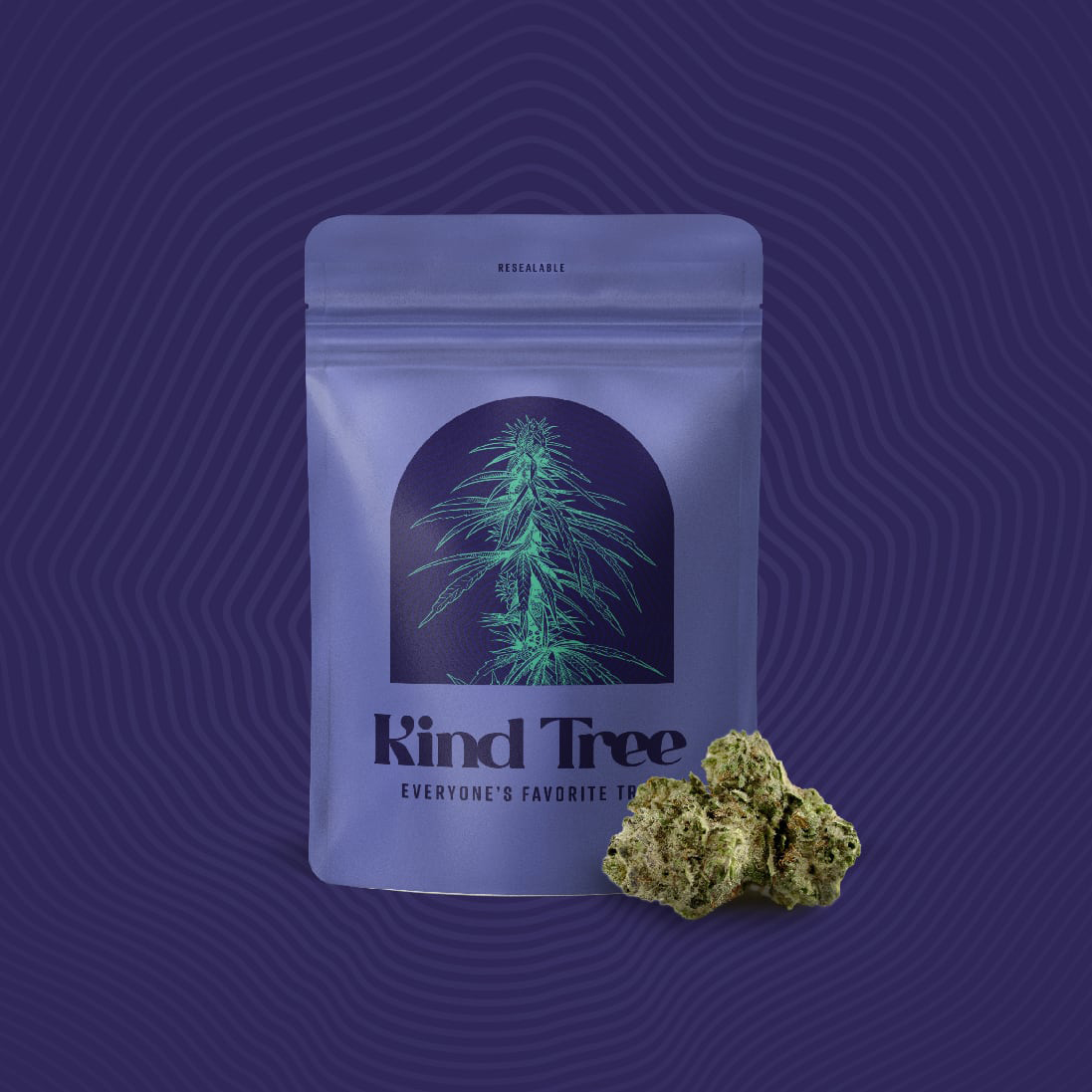 Photograph of product: Kind Tree - Cherry Slushee 3.5g