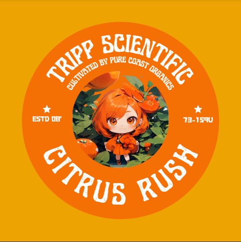 Photograph of Product: Tripp Sticks Citrus Rush - All In One