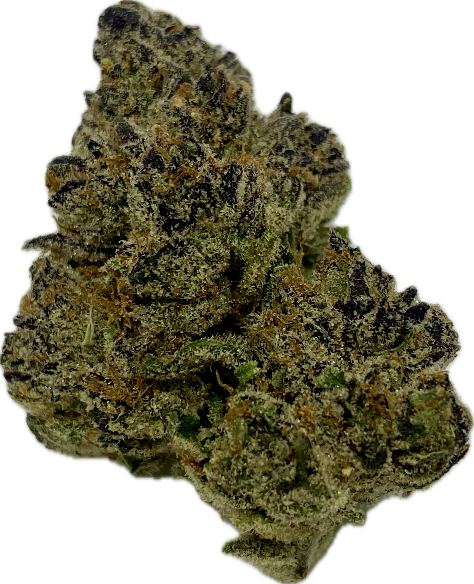 Photograph of product: Twisted Trees Oui'd Co. - Gaschata - Bulk Flower - 28g