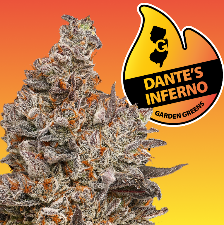 Photograph of product: [REC] Garden Greens | Dante's Inferno | 3.5g Flower