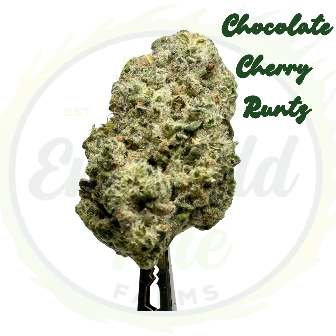 Photograph of product: Chocolate Cherry Runtz - Vivid Farms - 1g