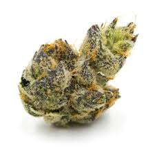 Photograph of product: Flower | Pre-Packed | Egg Roll | 3.5g | LegaSea