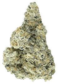 Photograph of product: Trivium | Wyld Stallions | Bulk Flower - 28g