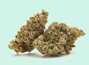 Photograph of product: Boston Oui'd Co. | Banana Pie | Flower - 3.5g