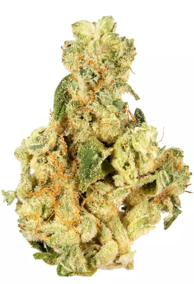 Photograph of product: (02944) Mr. Nasty - 7g