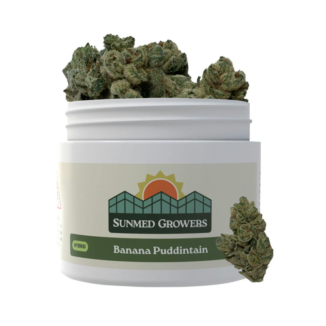Photograph of product: Banana Puddintain