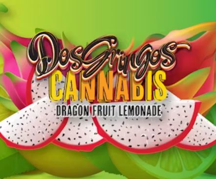 Photograph of product: Dragonfruit Lemonade | 100mg