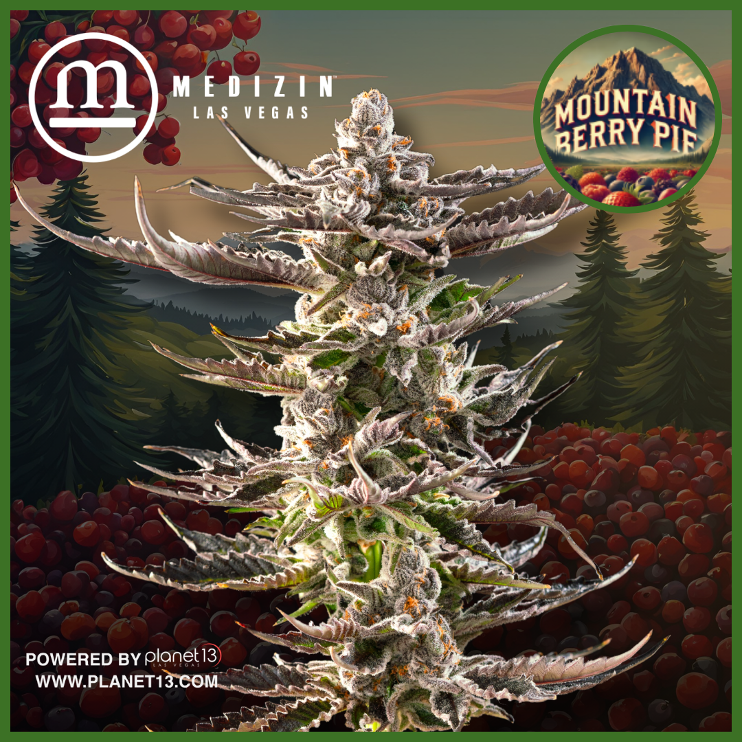 Photograph of product: Medizin Mountain Berry Pie Flower 3.5g