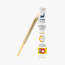 Photograph of product: East Fork Cultivars | CREATE: BLUEBERRY BALANCE Preroll | .5g