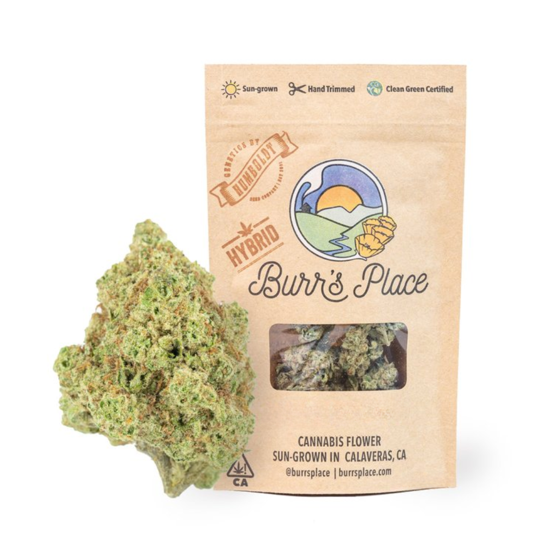 Photograph of product: Poddy Mouth #12 (H) 3.5 G