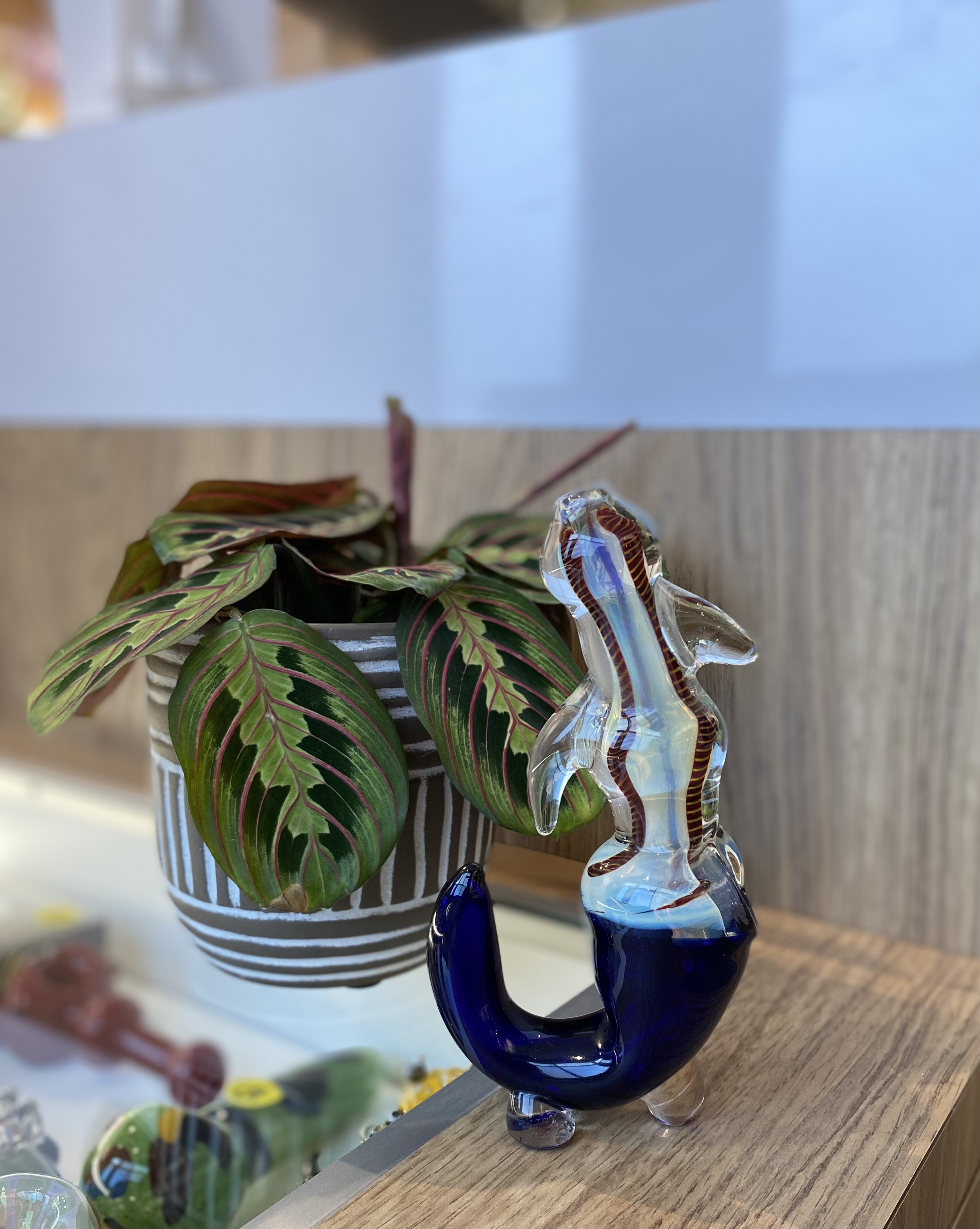 Photograph of product: 5" Bowl - Large