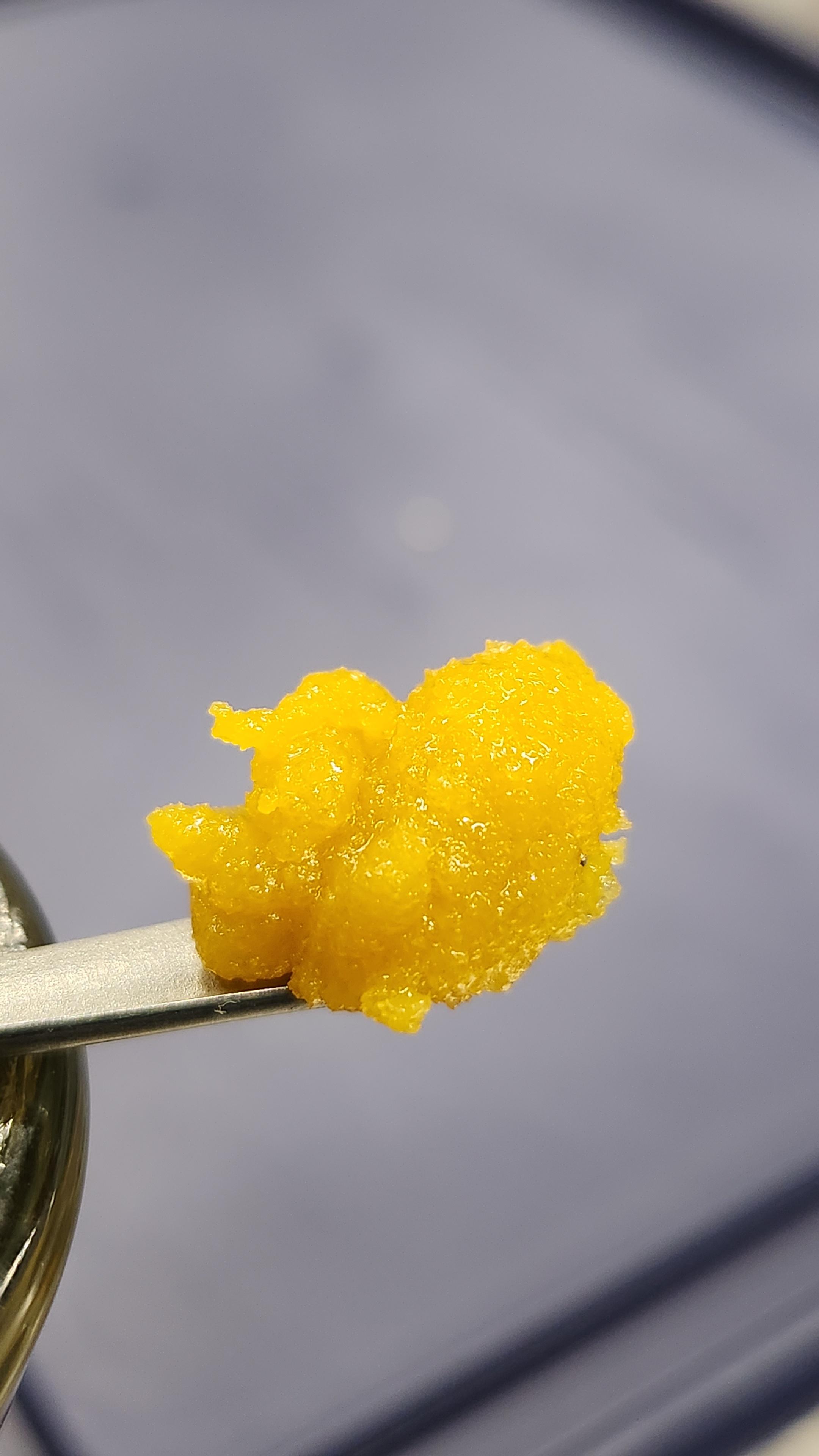 Photograph of product: Bananaconda |  Live Resin Sauce | 1g