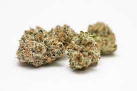 Photograph of Product: Egozi - - Bulk Flower - Spritzer [SH] - 3.5g