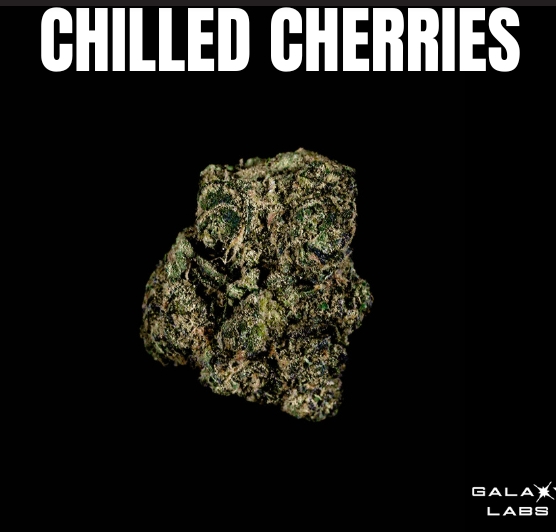 Photograph of product: GAL Flower - Chilled Cherries 7g