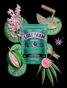 Photograph of product: Live Rosin Gummies | Watermelon x Fatso (H) | Lost farms