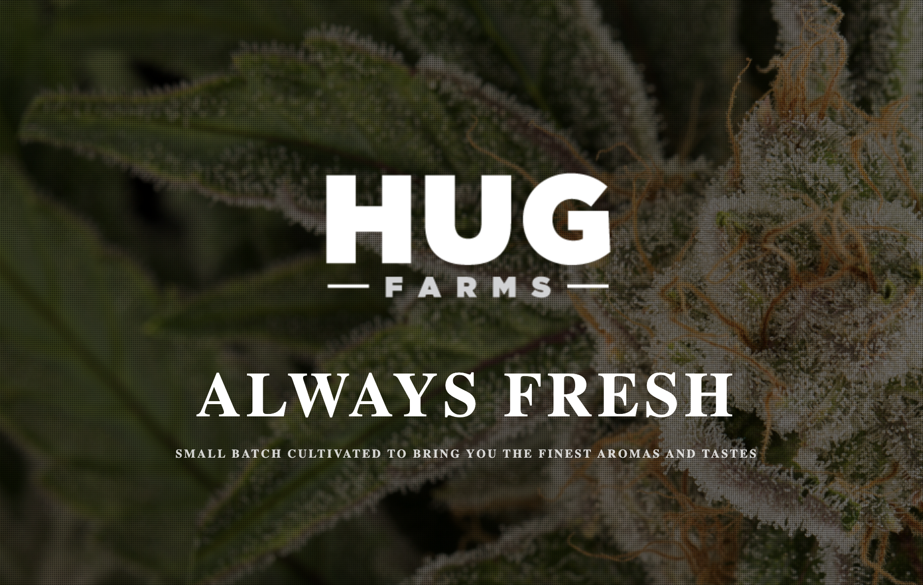Photograph of product: Party Wave | Oui'd | HUG Farms - 28g