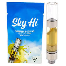 Photograph of product: Sky-Hi | Banana Pudding Gelato 510 Distillate Cartridge