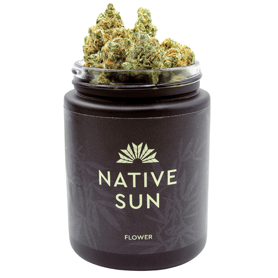 Photograph of product: Flower | Native Sun | Red Pop S1 | 3.5g