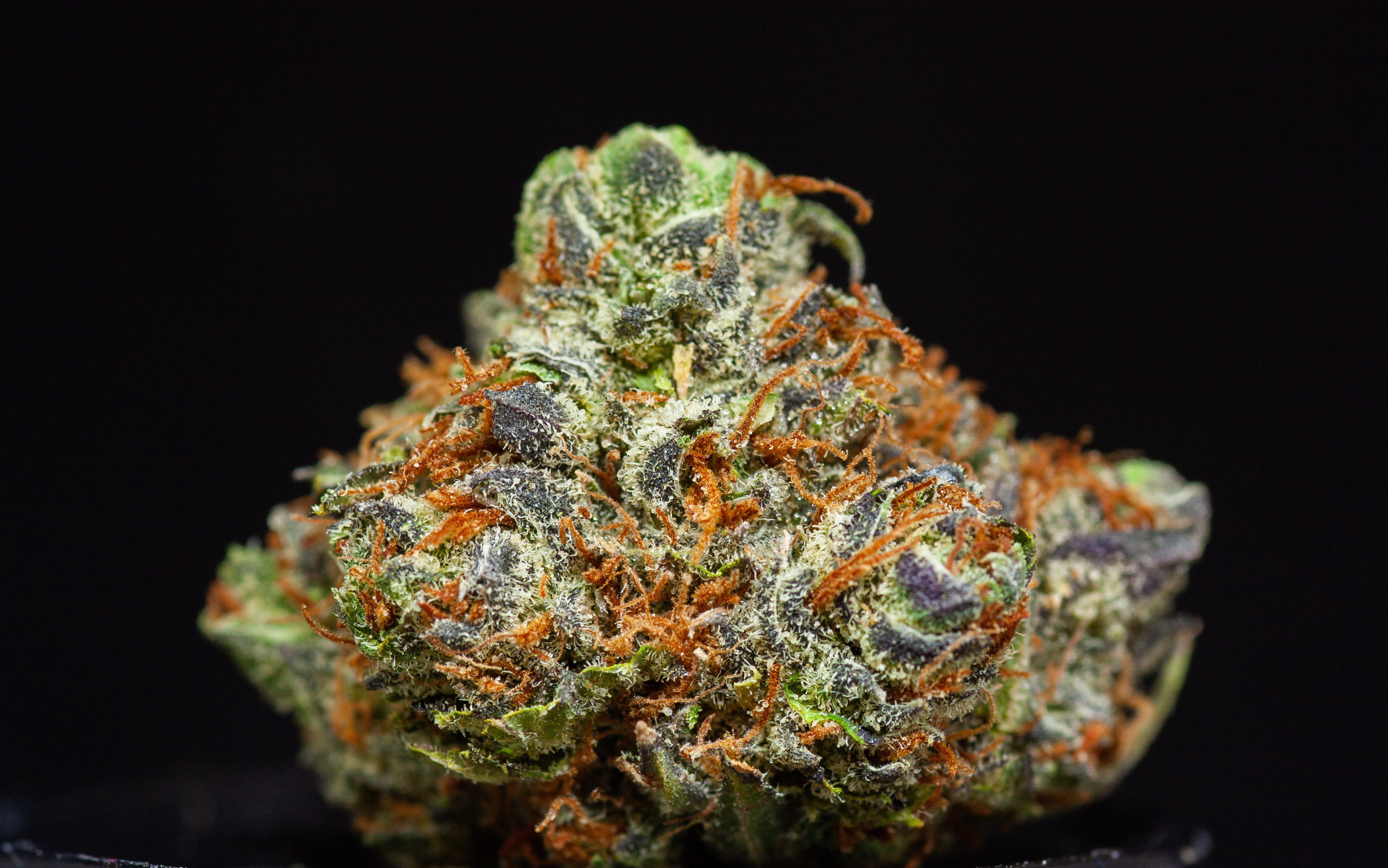 Photograph of product: Gold Shelf - Bazookies (H) - 28g