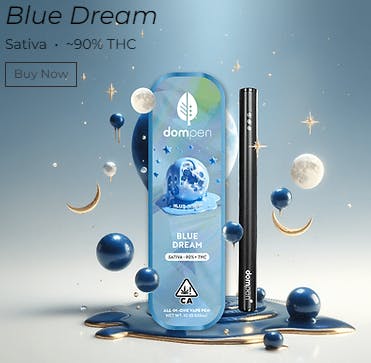 Photograph of product: Dompen - Blue Dream 1g Disposable