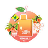 Photograph of product: Georgia Peach MAC | 1g Disposable Vape  | The Farmers Market