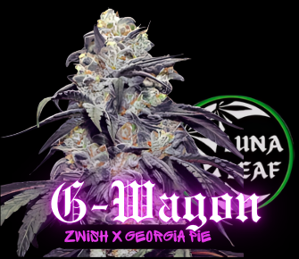 Photograph of product: LUNA LEAF | G-Wagon | PreRoll (I)