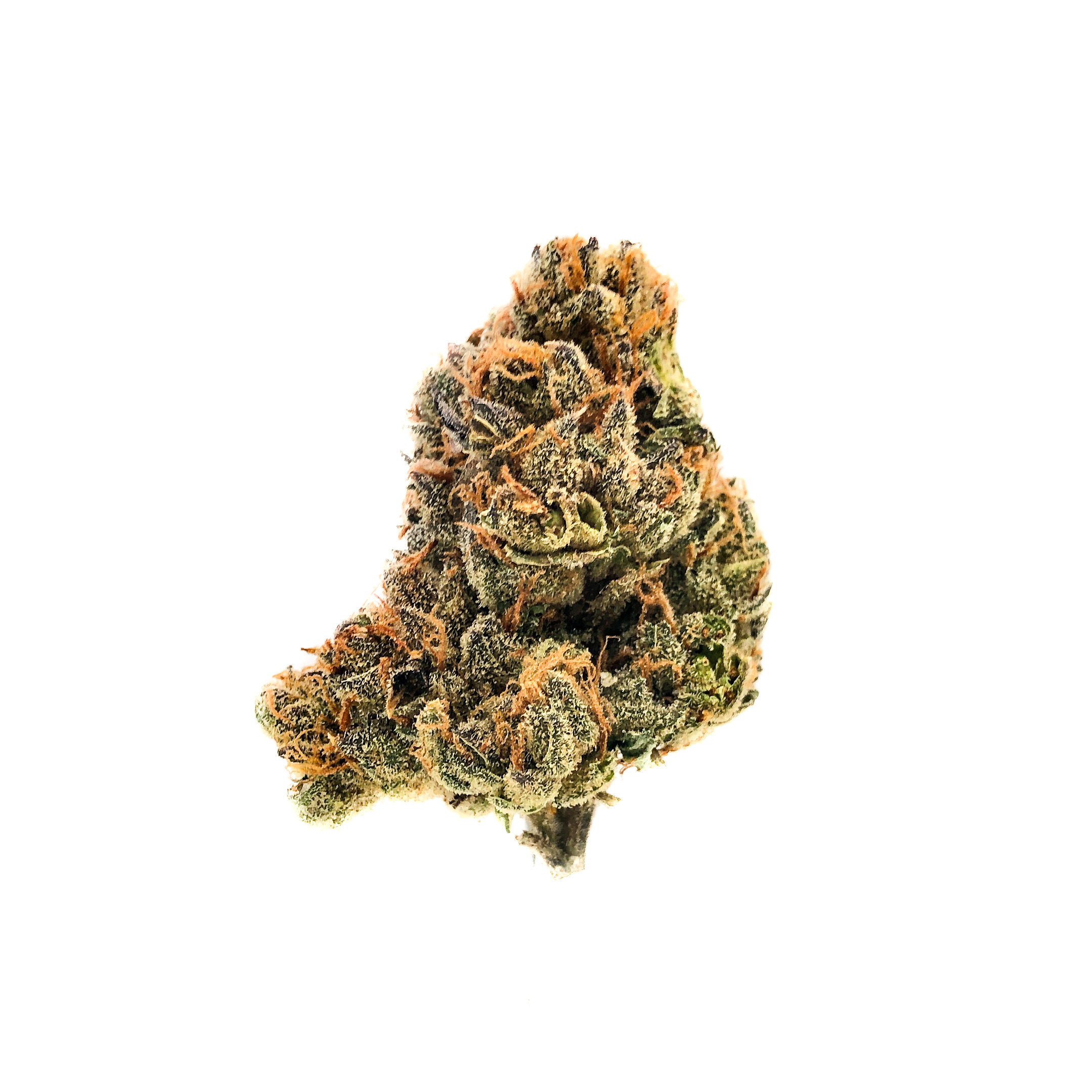 Photograph of product: MG 1 | 3.5g | Fresh Packed