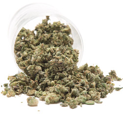 Photograph of product: $45 1oz Smalls - Snoops Dream (I) - Southwest Greenhouse - 28g