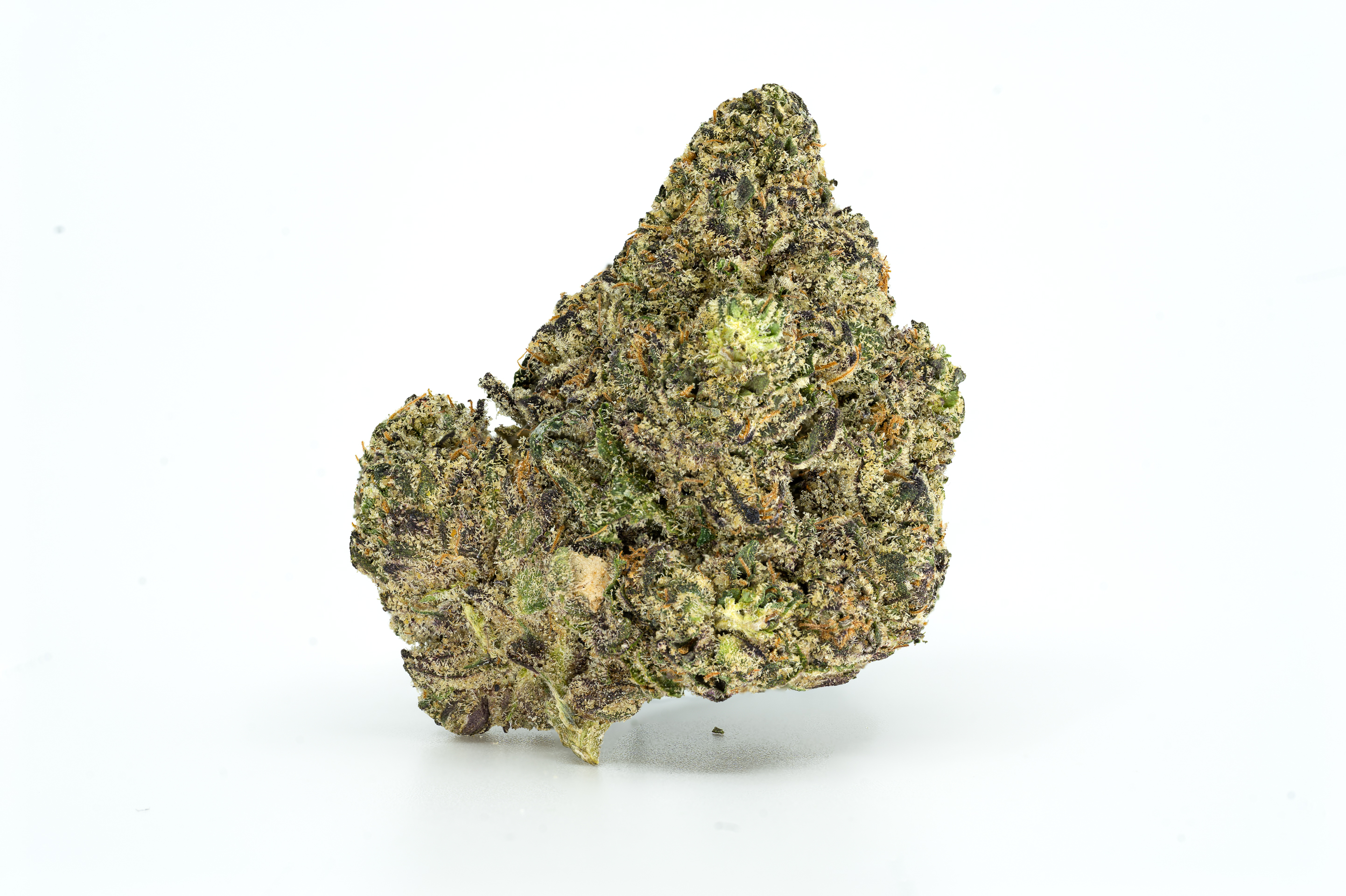 Photograph of product: Biscotti |  | Buds - 28g