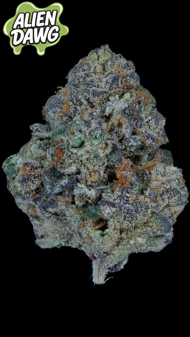 Photograph of product: Alien Dawg | Flower | 3.5g | Hybrid