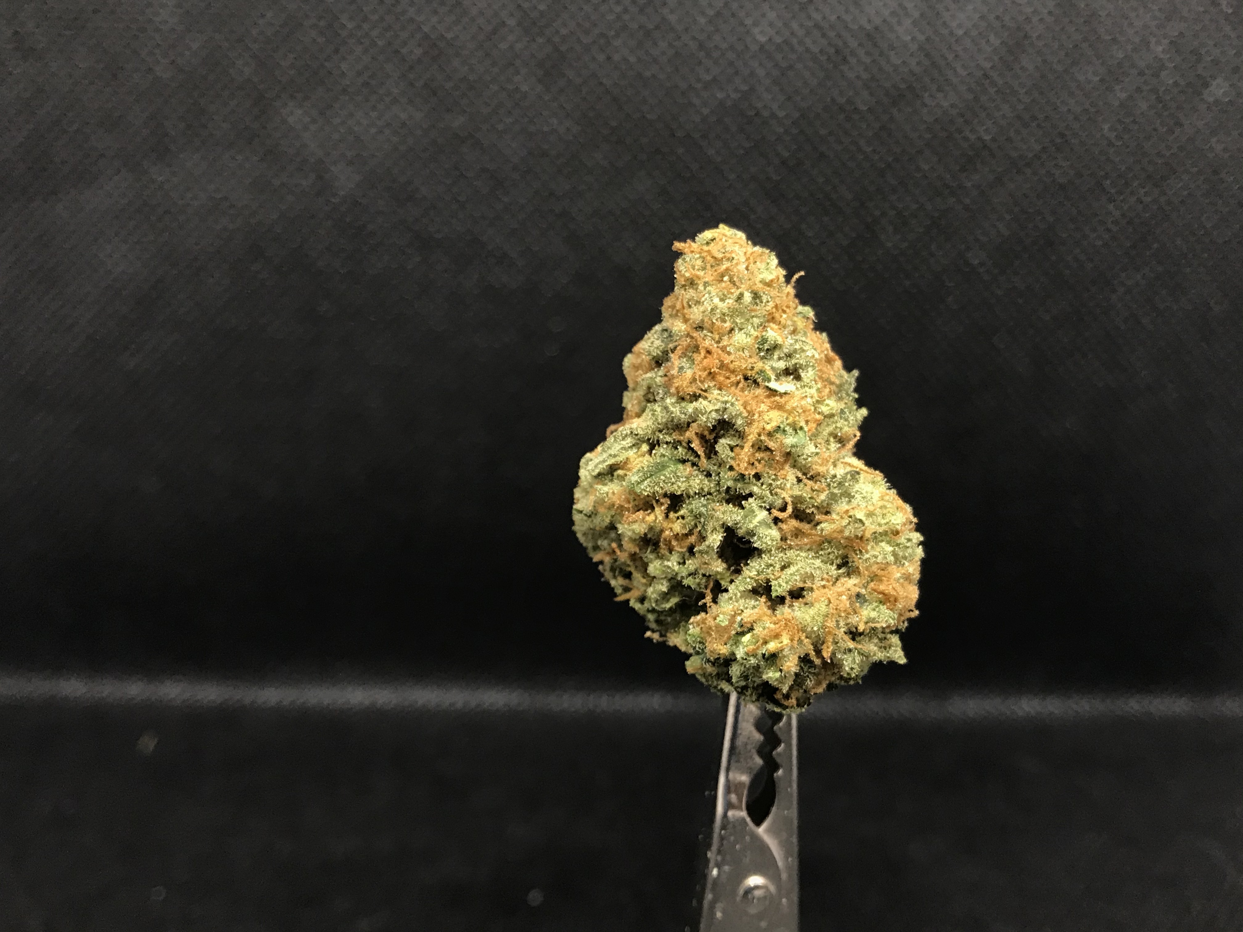 Photograph of Product: Strawberry Kush - 14g