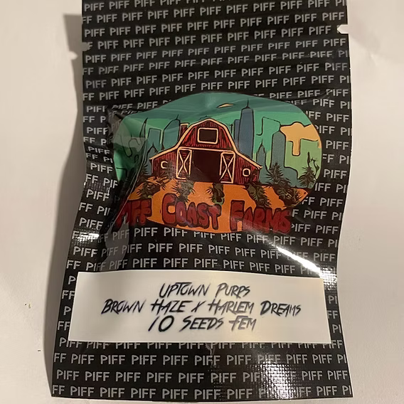 Photograph of product: Piff Coast Farms - Uptown Purps Seeds 3pk