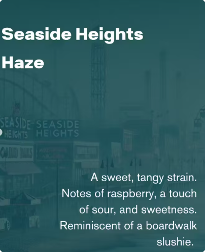 Photograph of product: Capitol Extracts  - Seaside Heights Haze - Disposable 1G