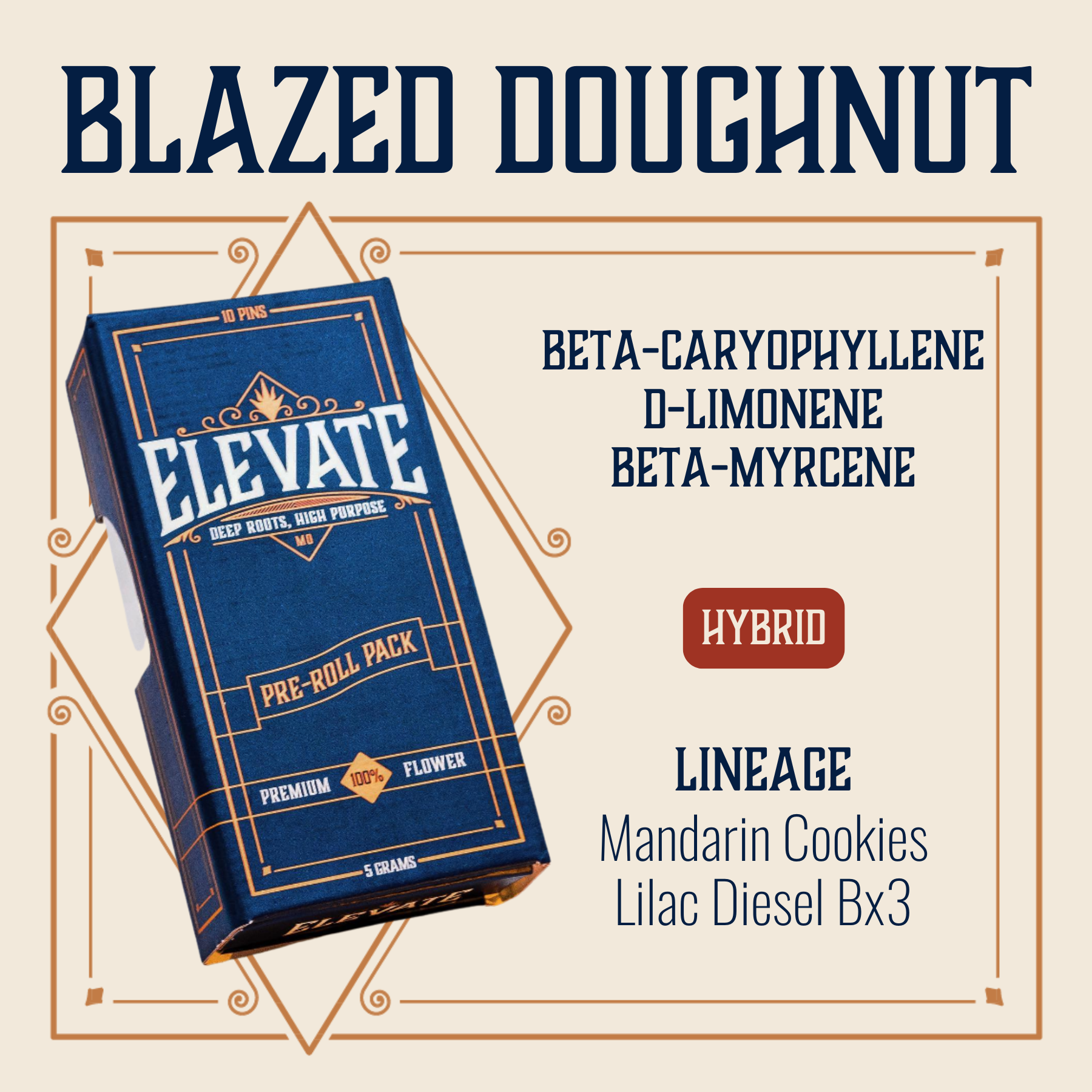 Photograph of product: Blazed Doughnut Pins Pre-Roll | 10-pack
