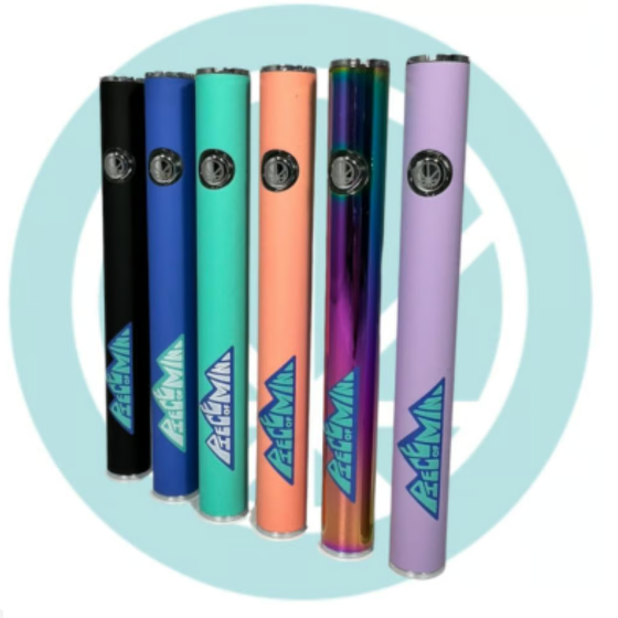 Photograph of product: POM Bear Rootz Battery