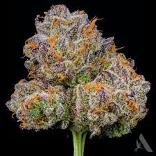 Photograph of product: PB Breath Flower Max T25.66% H 00554 - 3.5g