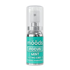 Photograph of product: SPRAY - MINT - FOCUS - 1:1