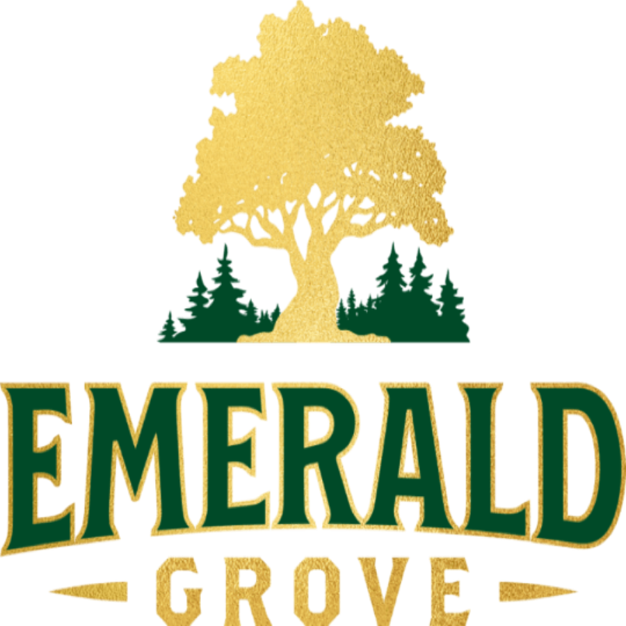 Photograph of product: T-Shirt | Unisex | Black