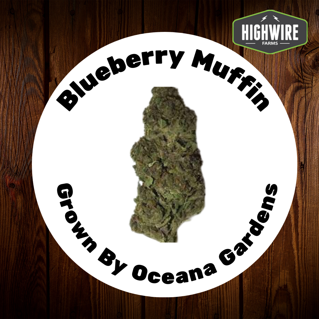Photograph of product: Blueberry Muffin OZ