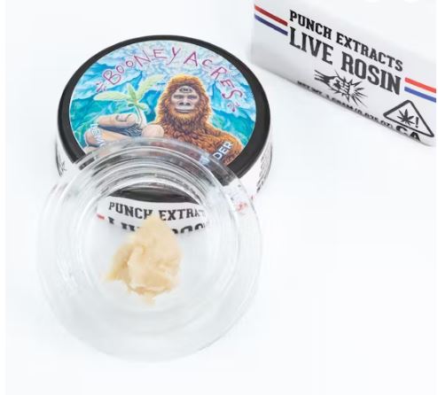 Photograph of product: Punch Extracts Lemon Berry OGZ 1g Live Rosin Badder T1