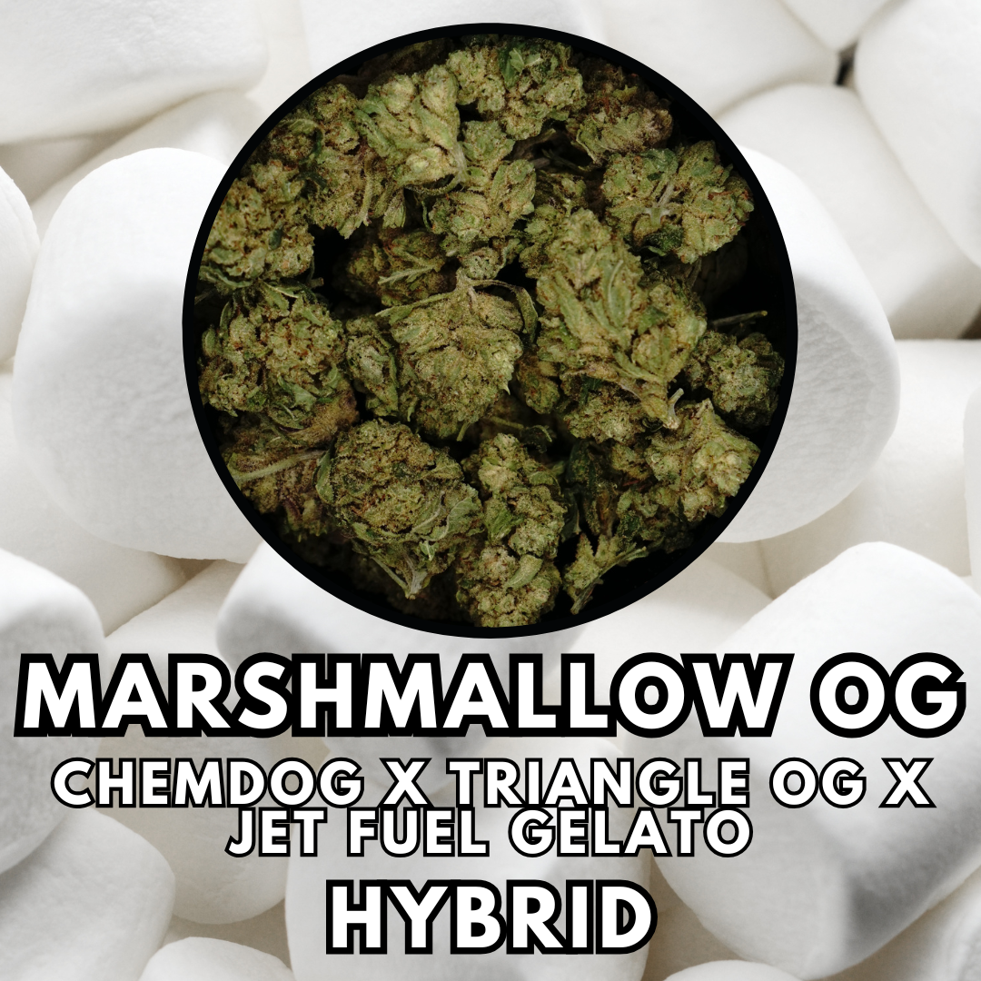 Photograph of product: Flower - Hawaiian Goat - Special Tier - 28g