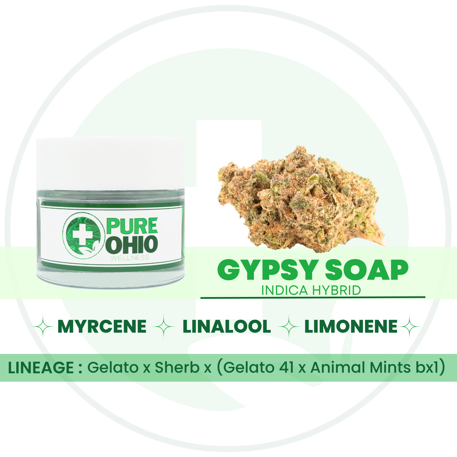 Photograph of Product: Gypsy Soap | 2.83g
