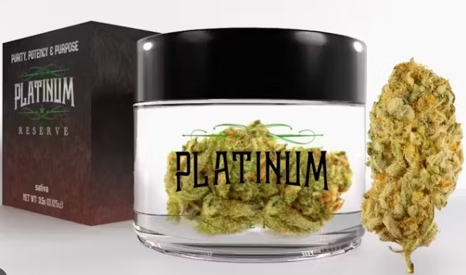 Photograph of product: Platinum Reserve - Jack Herer - 7G Flower