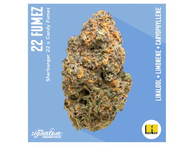 Photograph of product: INSA | 22 Fumes | 3.5g