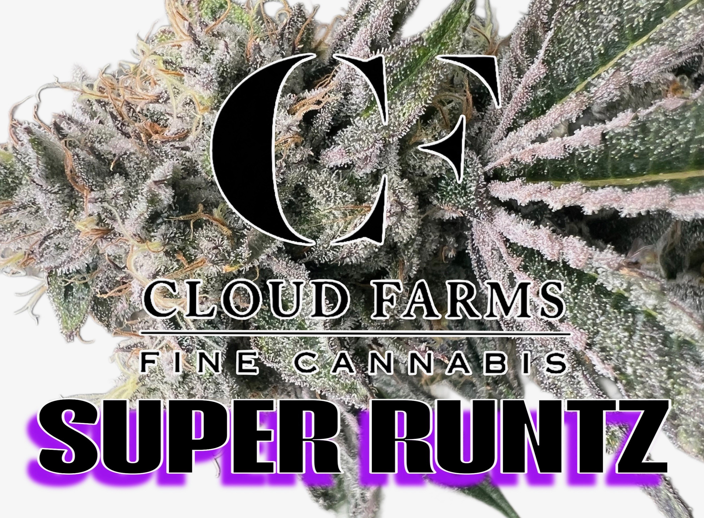 Photograph of product: Cloud Farms | Pre-Pack - 3.5g - Motor City Beast