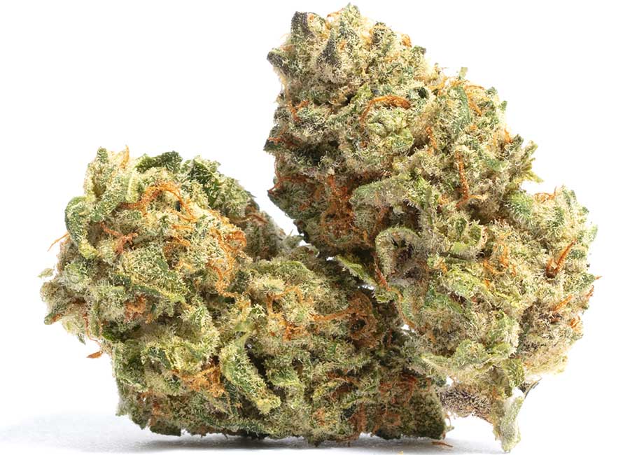 Photograph of product: OG Gardens - Schindog (28%) - 1g