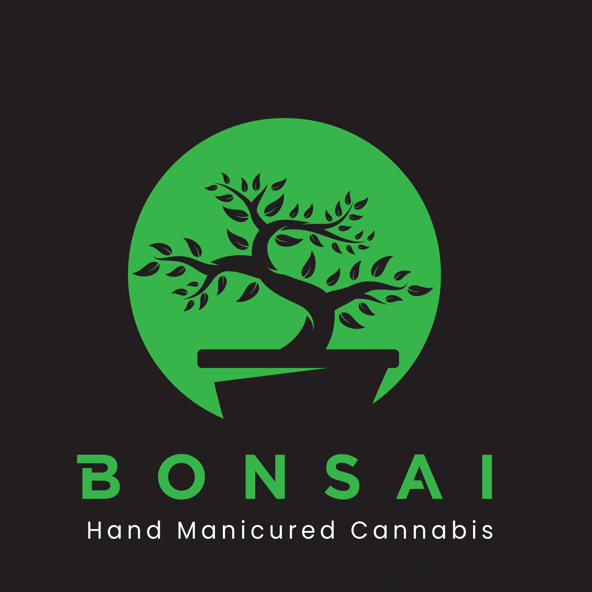 Logo for img-fluid: Bonsai
